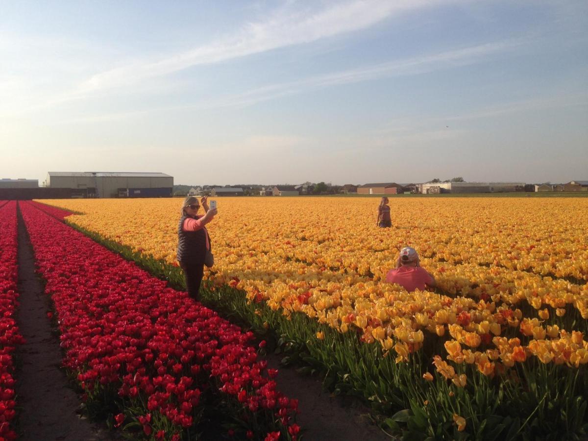 Beach Rose, 1 Free Parking, 2 Min. From Beach, Jacuzzi Noordwijk Buitenkant foto